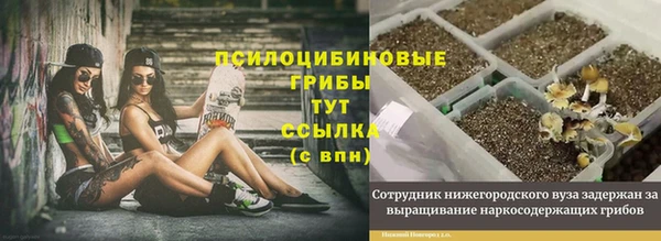 мяу мяу кристалл Алексин