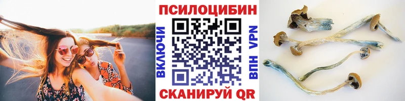 hydra ссылки  маркетплейс официальный сайт  Галлюциногенные грибы GOLDEN TEACHER  Петрозаводск 